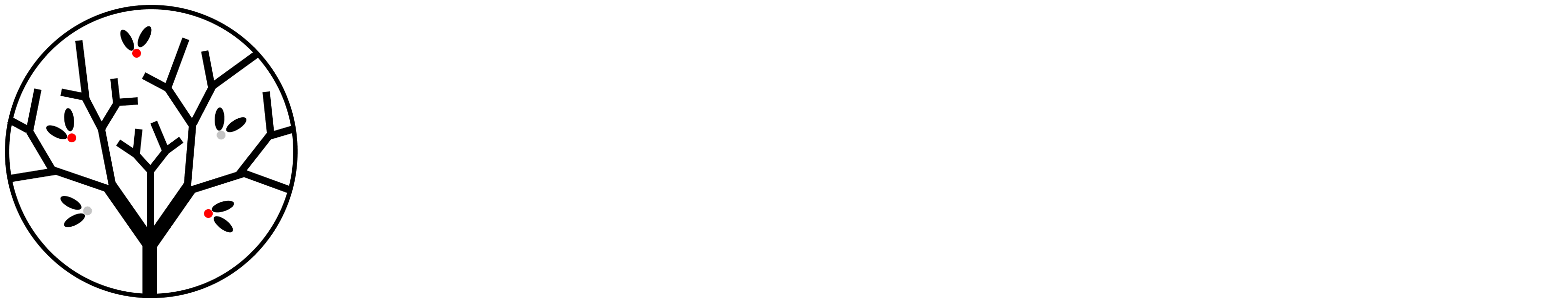 TINY HOTEL 宿り木 上五島